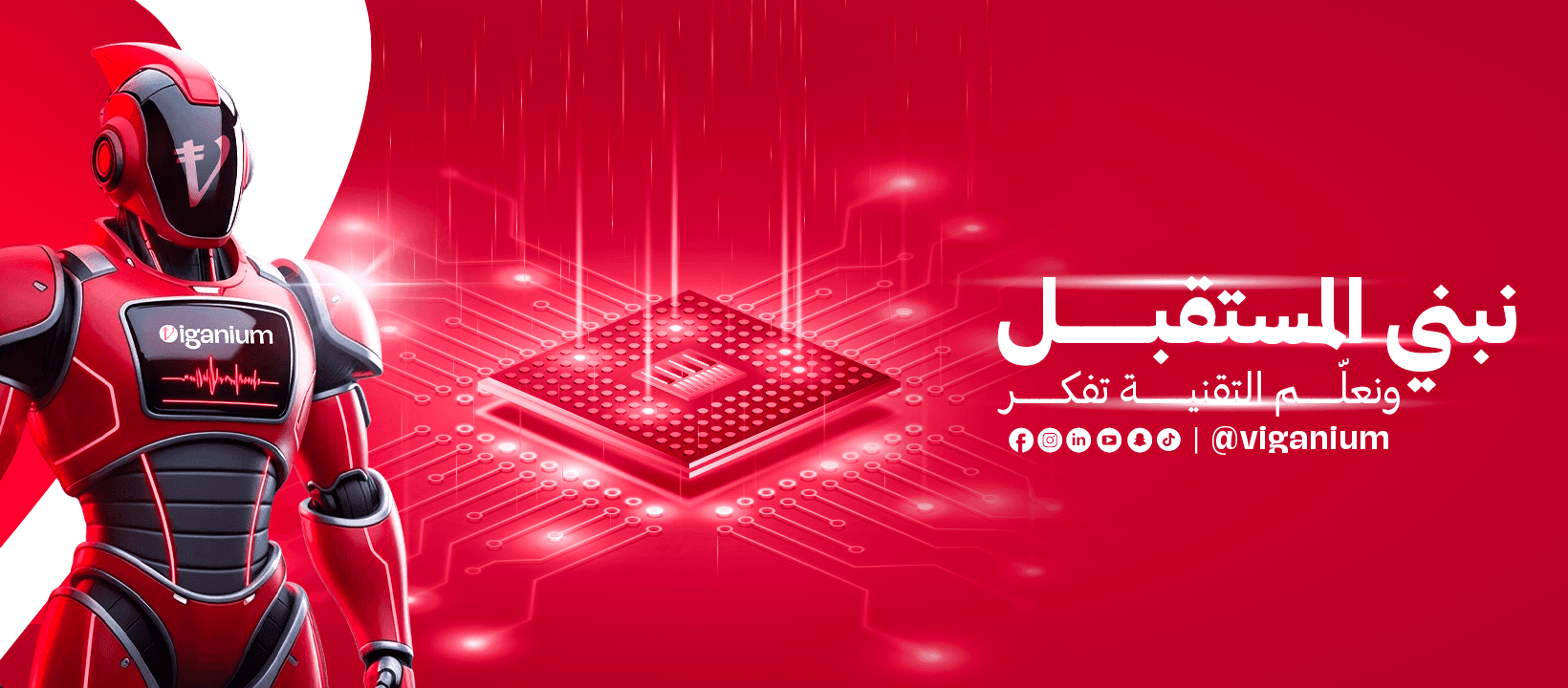 Viganium Software Company cover